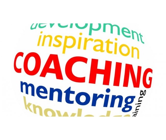 Contenido e-learning Scorm Práctico: Coaching y Mentoring