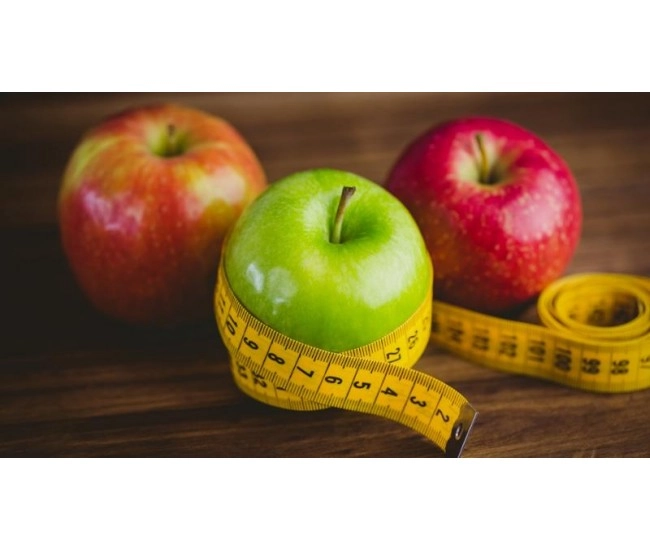 Contenido e-learning Scorm Practico de Dietética: Sistema Digestivo y Necesidades Nutricionales