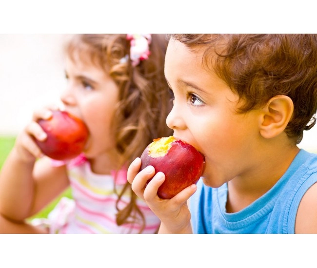 Contenido e-learning Scorm de Nutrición y Alimentación Infantil